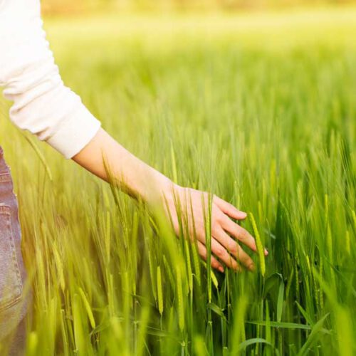 Was ist Hochsensibilität