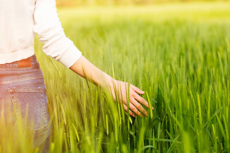 Was ist Hochsensibilität